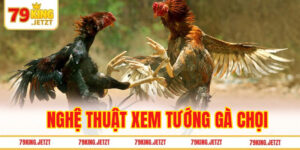Nghệ thuật xem tướng gà chọi theo Đạo kê diễn nghĩa